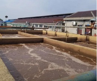 出水氨氮大于進(jìn)水氨氮，怎么回事？