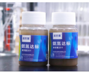 生化系統(tǒng)崩潰，氨氮超標(biāo)，我該怎么辦?
