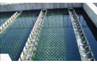 【干貨】生物濾池為什么一受沖擊氨氮去除率就會(huì)下降？